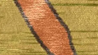 Galaincha v4.05 : Rug Presentation Video [Week 6]
