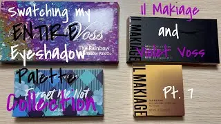 Swatching my *ENTIRE* Eyeshadow Palette COLLECTION! IL MAKIAGE & VIOLET VOSS Palettes! (pt. 7)