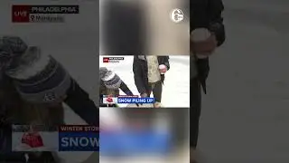 Dog greets Action News reporter during snow coverage in Philadelphia