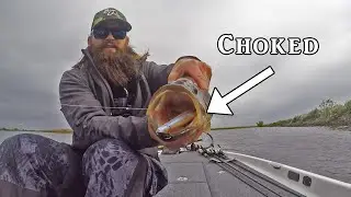 Rainy Day on the Delta.... CHOKED JERKBAIT
