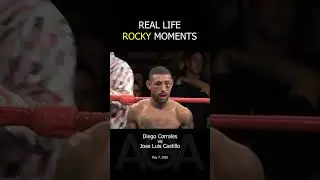 my favorite sport to watch by far #boxing #boxingupset