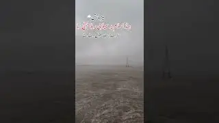 taz Barish sy phr selab