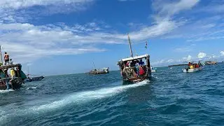 Dolphin Adventure: Exploring Wasini Island's Aquatic Wonders!