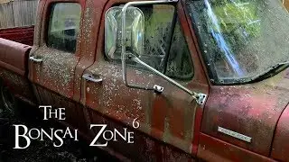 Community Orchard and Truck Update, The Bonsai Zone, Aug 2019