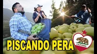 La VERDAD de TRABAJAR en el CAMPO en USA | #uligbs