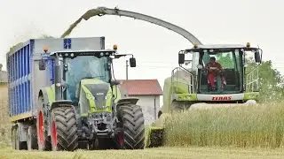 Triticale Silage | Claas Jaguar 950 + Direct Disc 610 | Claas Axion 850/830 + Arion 640