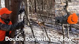 Двойная добыча с луком!! Охота с луком в конце сезона
