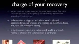 IgY Recovery Proteins: In Introduction