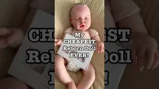 Who is my cheapest reborn doll ever? #reborns #babydolls #dolls #reborndolls #rebornbaby #art
