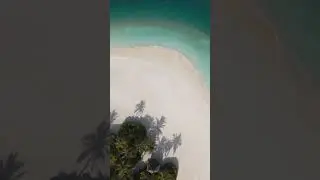 Celebrate Love in Paradise