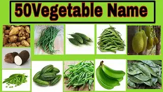 Vegetables Name//learn odia vegetables in English//vegetables name in English to odia//all vegetable
