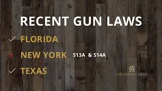 2021 Gun Laws (Florida, Texas, California, New York S13A & S14A)