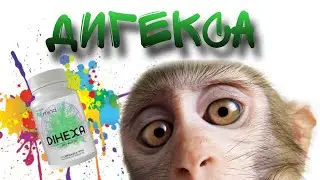 Дигекса-конкурент ежовику ? Личный опыт