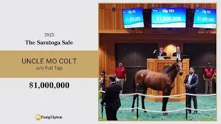 Uncle Mo colt sells for $1,000,000 at The Saratoga Sale (2025)
