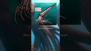 Endoceras Also Known As Cameroceras Was The BIGGEST Animal From The Ordovician Period.