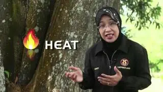 UTMLead Corporate Video