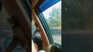 #laughing#entertainment #funcontent#viral #viralvideo #trending #reels#instafun #funnyvibes #humorI