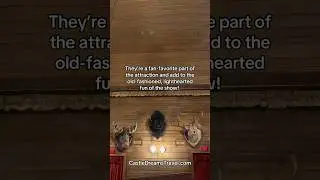 Have you met Buff, Max & Melvin? #countrybearjamboree #countrybears #disneyworld #magickingdom
