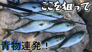 【ショアジギング】上でもない下でもないここを狙って　＠青物連発＠　しまなみ海道　@釣りに行こうか