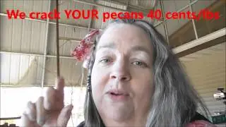 cracking pecans