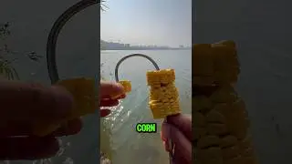 Fishing With Corn Bait?! What Fish Would Actually Eat This? #baitcast #fishing