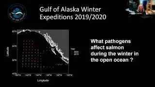 Seminar 4: Salmon Genomics  -  Tiny Clues Provide Big Insights into the Lives of Salmon at Sea