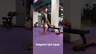 Bulgarian Split Squat