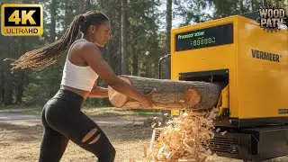 Jaw-Dropping Insane Wood Chipper & Grinder Speed | Monster Stump Crusher Unleashed! #33