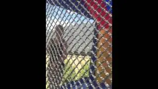 Irwin's Jumping Castle Hire - the adults using the Frozen jumping castle