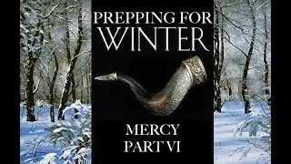 Подготовка к зиме: Мерси, часть 6