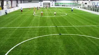 Top-Rated Artificial Turf & Putting Greens in Austin & Beyond | Texas Custom Turf Experts