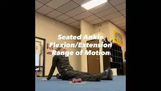 Seated Ankle Flexion/Extension Range of Motion #trainlikethepros