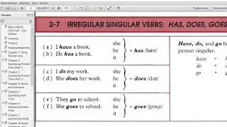 Irregular singular verbs:  Has, goes, does