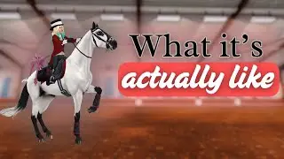 What it's like to be in a SSO Dressage Club