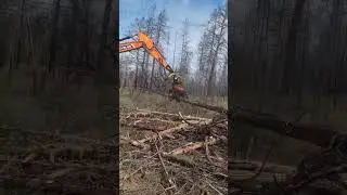 Xuvol harvester head 600HP Max. cutting 600mm Weight 1.68T Matched excavator 20-25T #harvesterhead