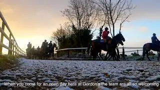 Pioneer Racing Club | Racehorse Ownership