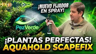 AquaHold™ Scape Fix - La solución definitiva para mantener el diseño estable en acuarios plantados 🌱