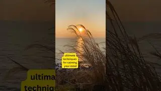 #ultimate #technique to #calmyourmind