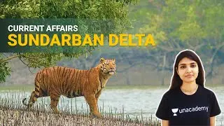 Sundarban Delta | Current affairs | Krishangee Sharma | Foundation | Unacademy Bridge