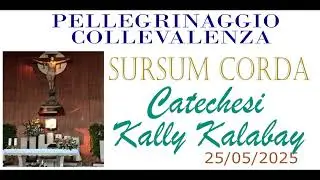 25 5 25 PELLEGRINAGGIO SURSUM CORDA A COLLEVALENZA: 