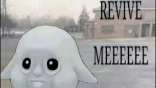 10 MINUTES OF ANIMAL COMPANY MEMES!
