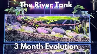 The River Tank - My favorite build ever