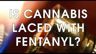 Fentanyl and U.S. Teens: What&rsquo;s the Real Risk?