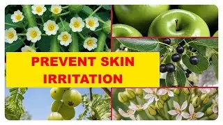 Achieve Calm and Comfort: Essential Oil Solutions for Preventing Skin Irritation