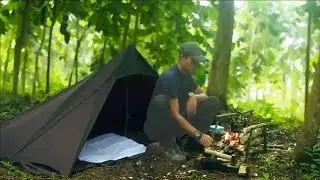 SOLO CAMPING in tropical RAIN ( Relaxing in the Tent shelter, ASMR )