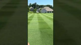 Lawn is FINALLY 