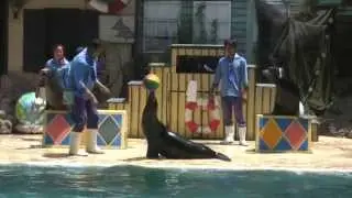 Seal with ball