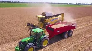 Barendregt Agro harvesting wheat with New Holland CX820 Combine
