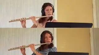 Virtual Velocity - Flute Duet