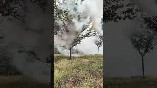 Master Mantis Fog,High efflciency pesticide spraying machine.
